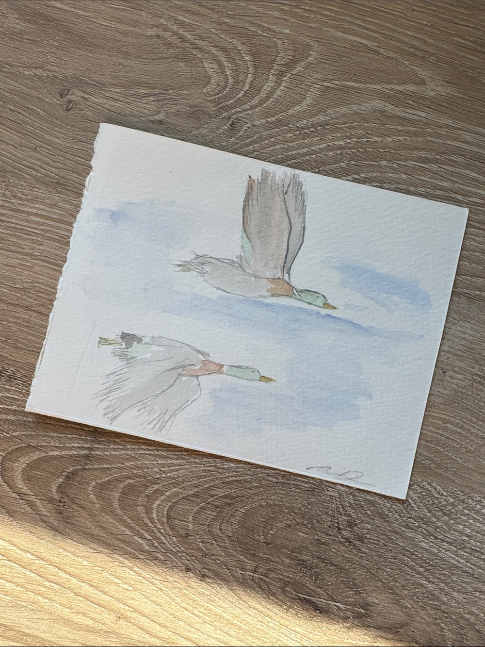 Water color art flying ducks